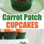 Chocolate cupcakes with orange chocolate covered strawberry.