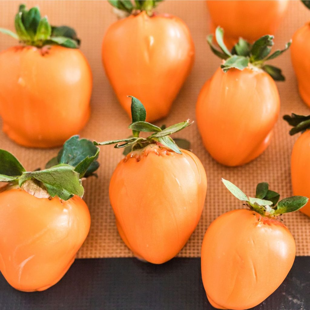 Strawberries dipped in orange color candy melts.